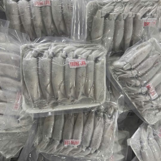 muc-ong-trung-cap-dong-vtf