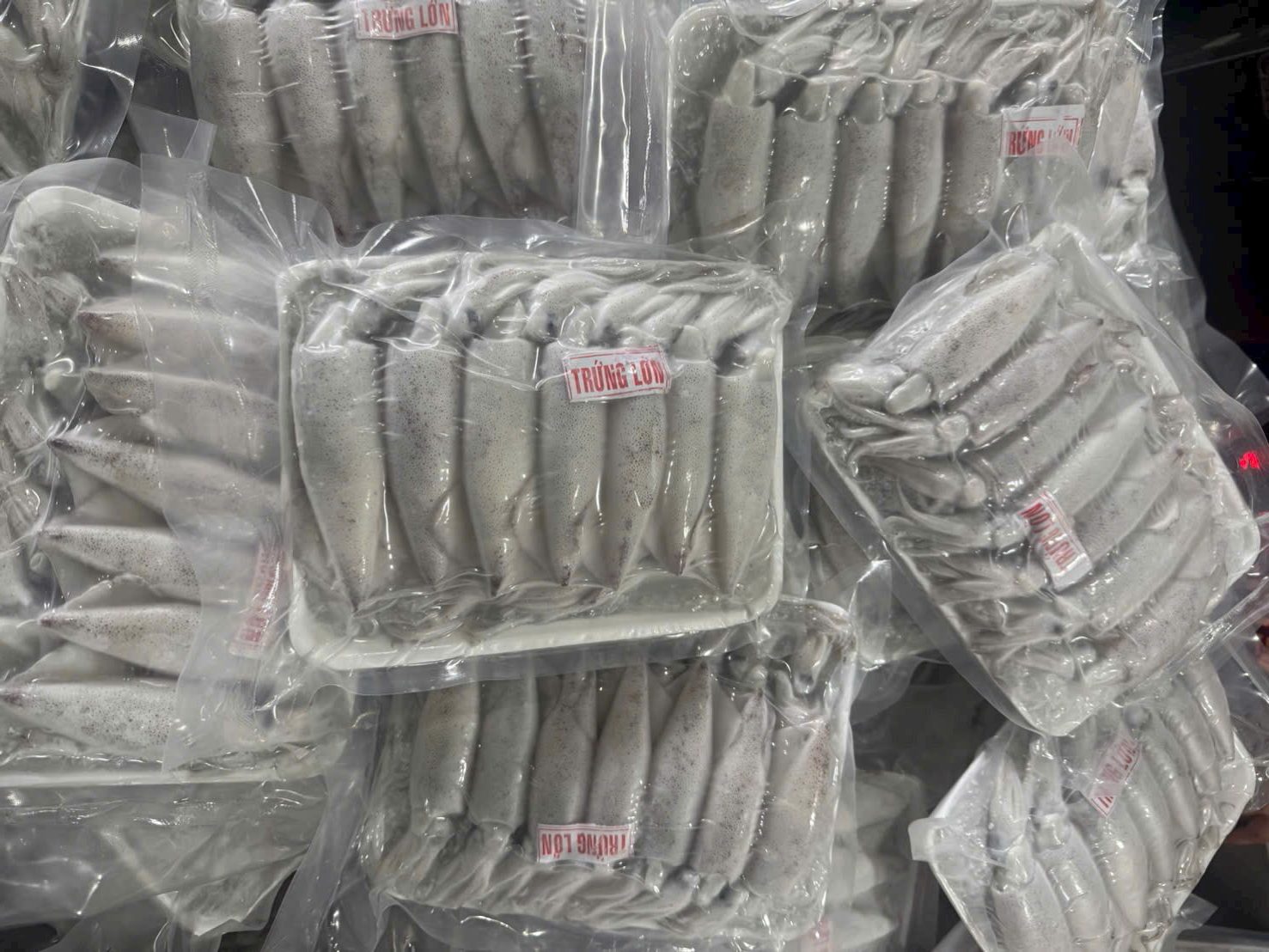 muc-ong-trung-cap-dong-vtf