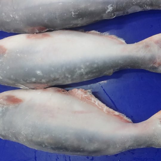 ca-basa-nguyen-con-cap-dong-vtf-cho-nha-may-che-bien