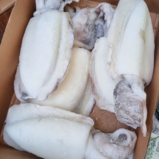 muc-nang-lam-sach-cap-dong-vtf