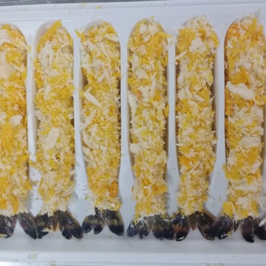 tom-nobashi-tam-bot-vtf