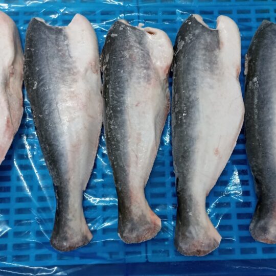 Frozen HL Pangasius Fish