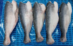 ca-basa-hl-cap-dong-vtf-cho-nha-may-thuc-pham