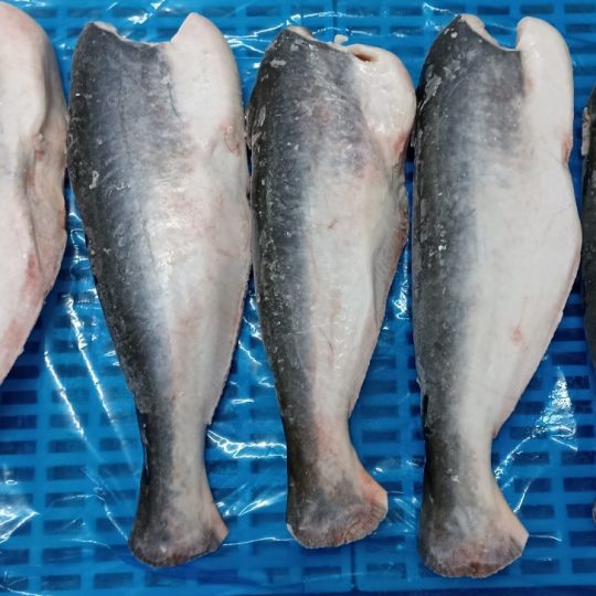 ca-basa-hl-cap-dong-vtf-cho-nha-may-thuc-pham