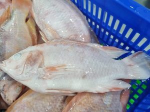 ca-dieu-hong-cao-cap-vtf