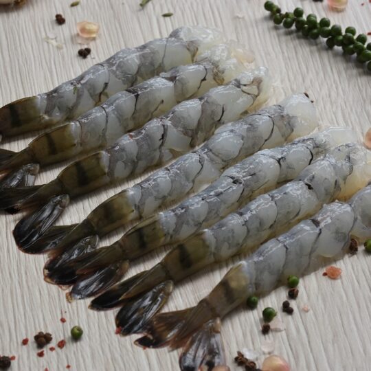 Frozen Nobashi BT. Shrimp