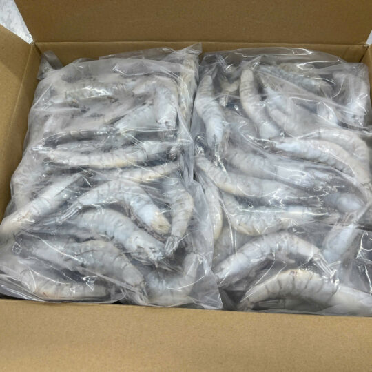 IQF Frozen HOSO Van. Shrimp