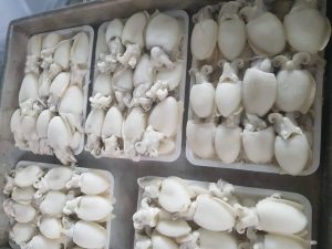 muc-nut-lam-sach-cap-dong-vtf