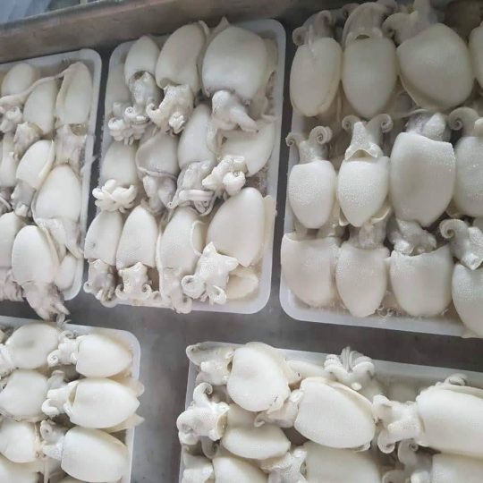 muc-nut-lam-sach-cap-dong-vtf