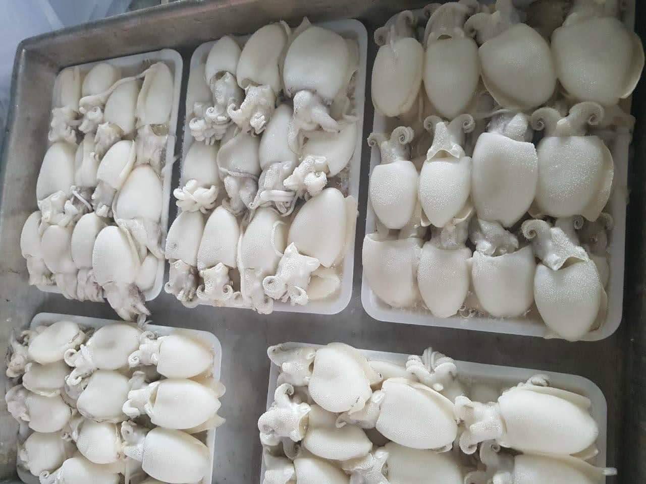 muc-nut-lam-sach-cap-dong-vtf