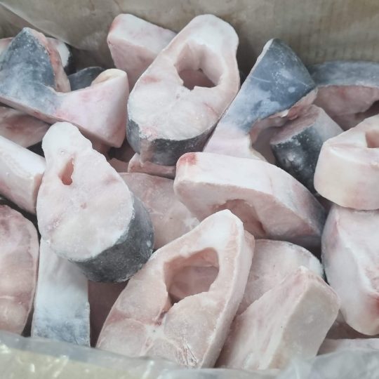 ca-basa-cat-khuc-cap-dong-vtf