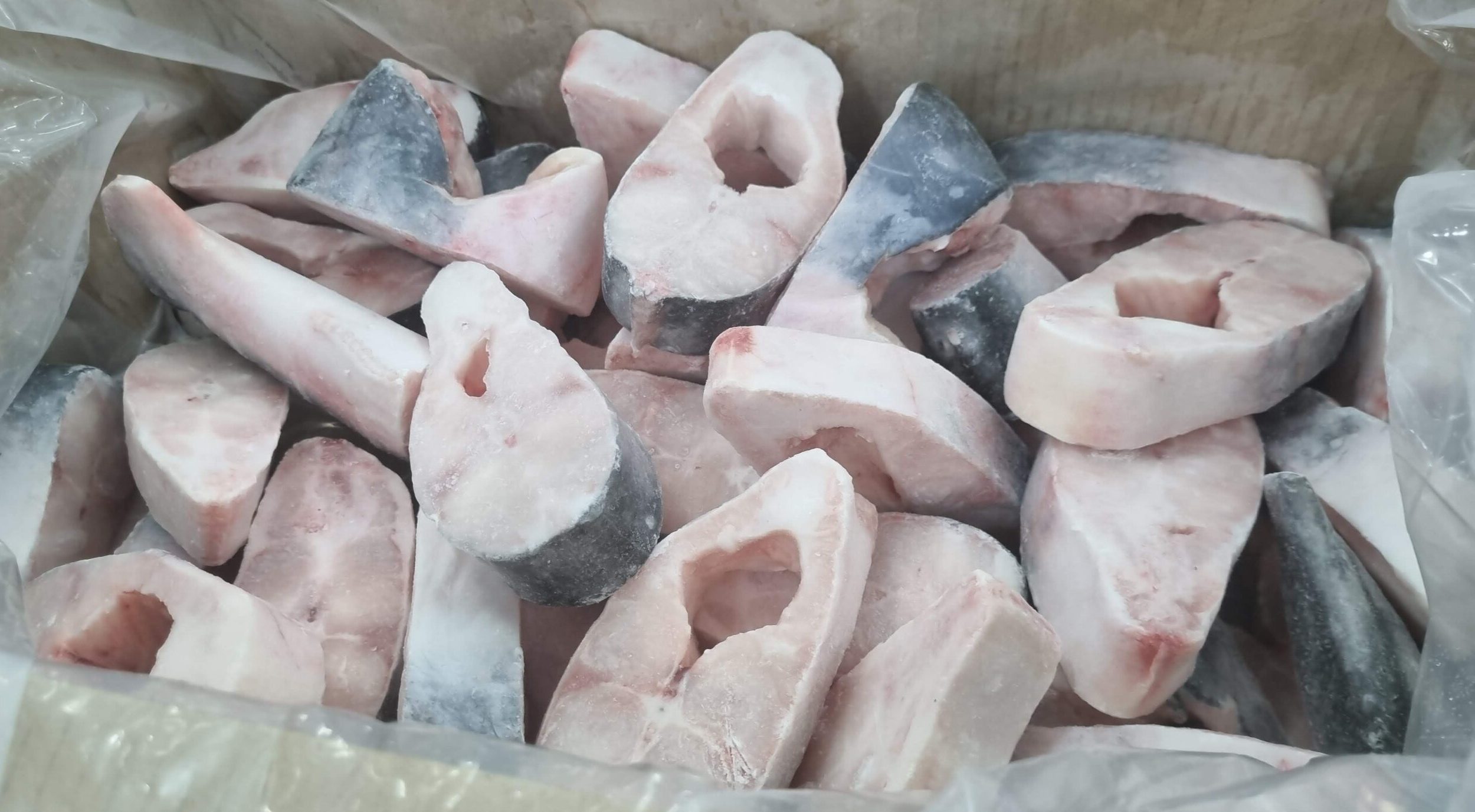 ca-basa-cat-khuc-cap-dong-vtf