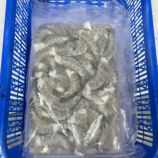 Frozen HLSO Van. Shrimp