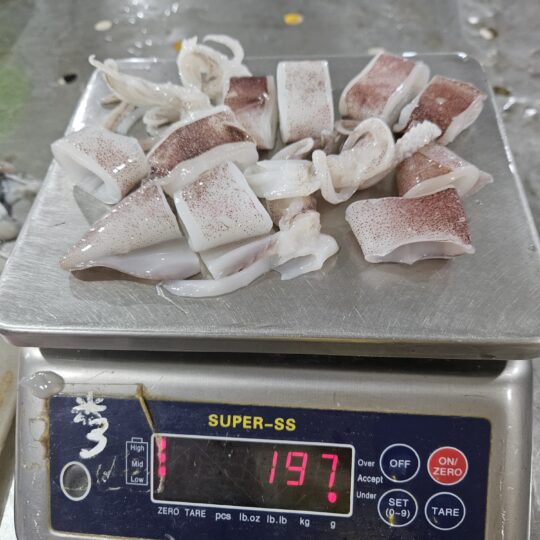 Frozen Cut Squid