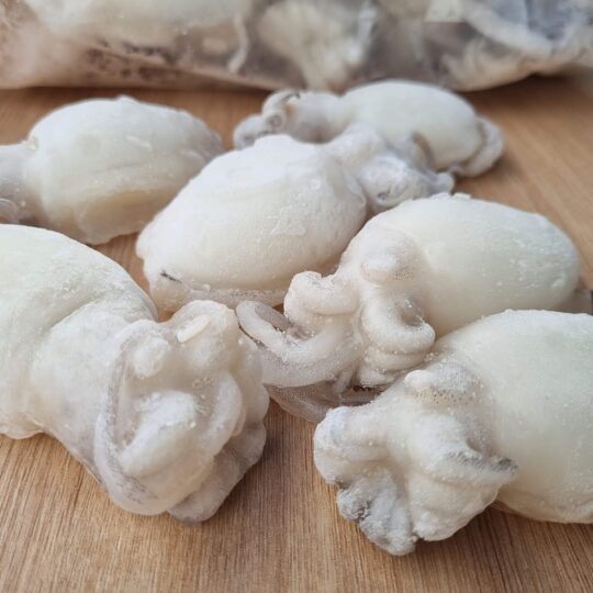 IQF Frozen Baby Cuttle Fish