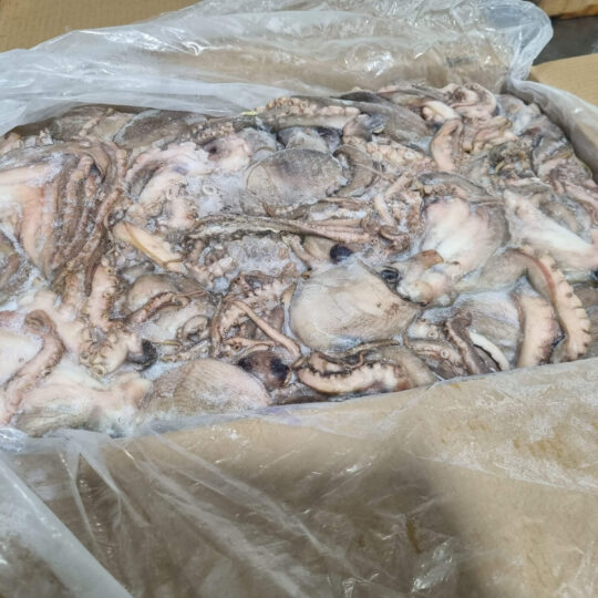 Frozen Raw Octopus