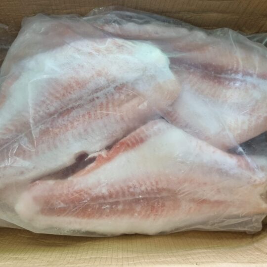 Frozen UT. Pangasius Fillet