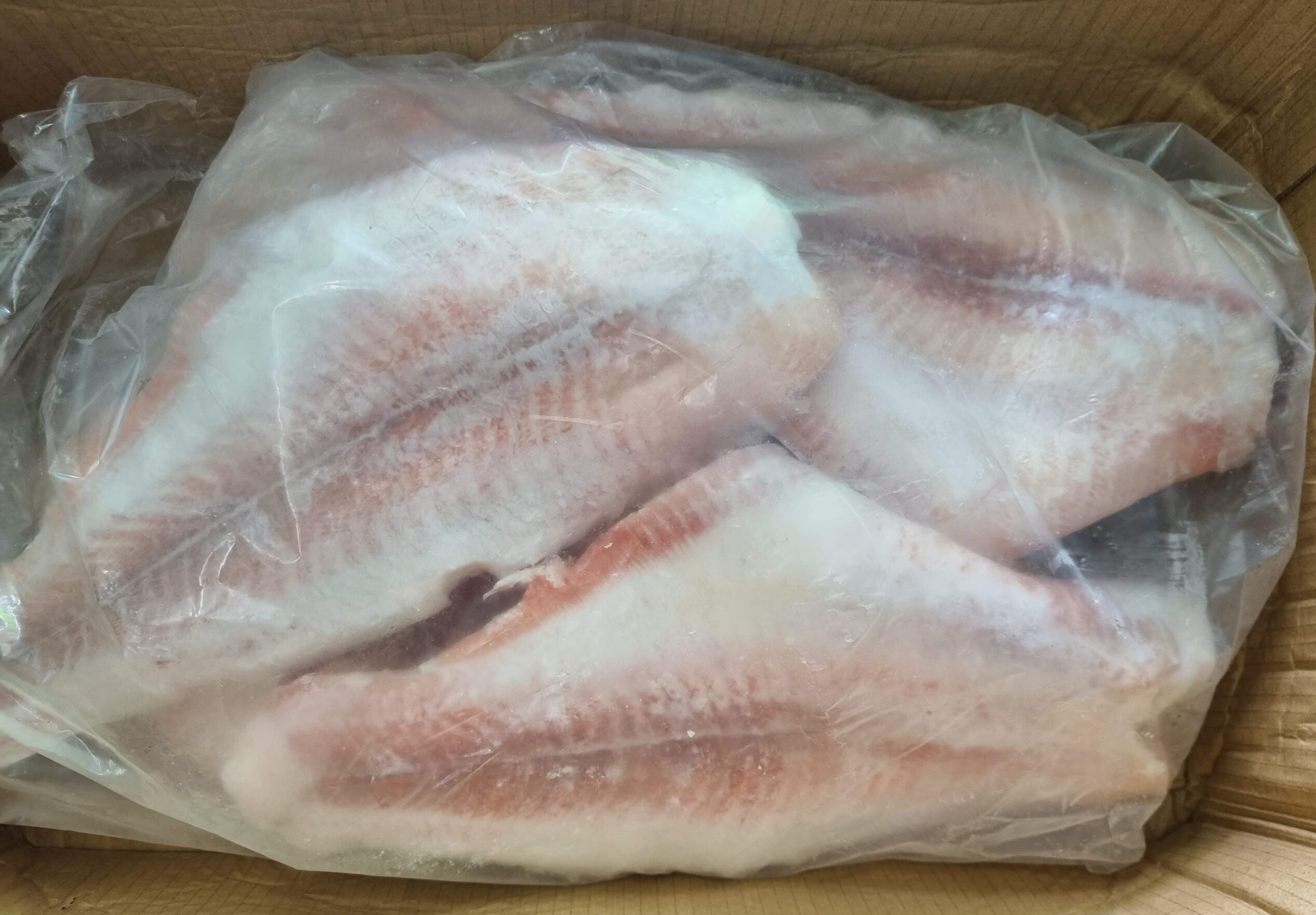 ca-basa-fillet-cap-dong-vtf-chat-luong-xuat-khau