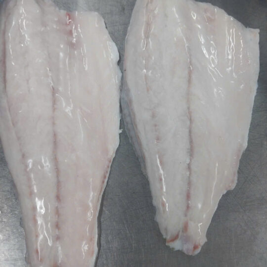 Frozen Skin on Barramundi Fillet