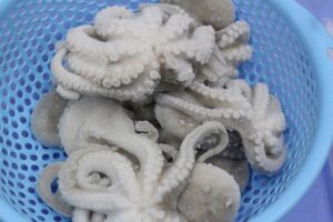 bach-tuoc-lam-sach-cap-dong-vtf