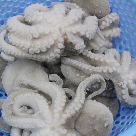 Frozen Whole clean Octopus