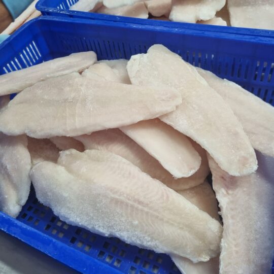 Frozen WT. Pangasius Fillet