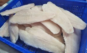 ca-basa-fillet-cap-dong-vtf-tieu-chuan-xuat-khau