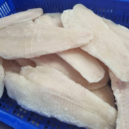 ca-basa-fillet-cap-dong-vtf-tieu-chuan-xuat-khau