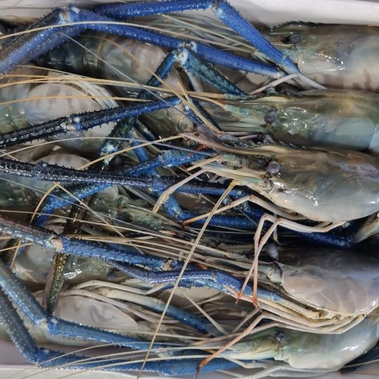 tom-cang-xanh-lam-sach-san-ready-to-cook-vtf