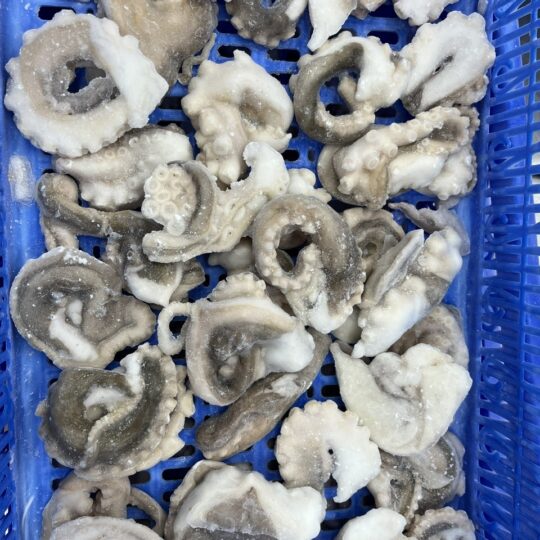 Frozen Cut Octopus