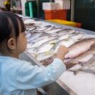Hải sản an toàn cho trẻ – Lựa chọn thông minh cho bé yêu khỏe mạnh 2026