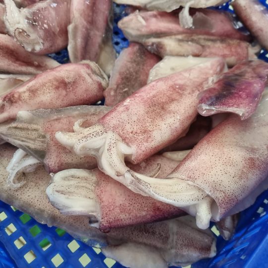 muc-ong-lam-sach-vtf-dat-chuan