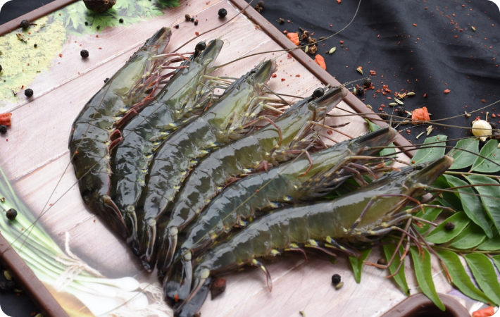 SẢN PHẨM HẢI SẢN