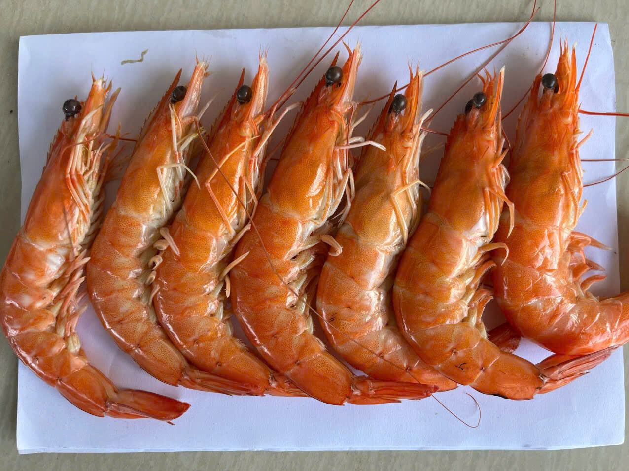 z7516067430866_822243c79efadf5ad37592d48bc13f5d