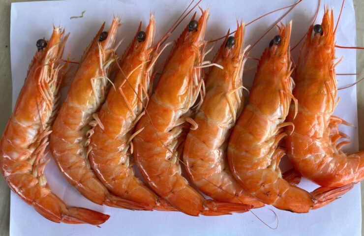 z7516067430866_822243c79efadf5ad37592d48bc13f5d