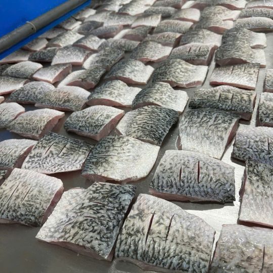 Cá Chẽm Fillet Còn Da Cấp Đông