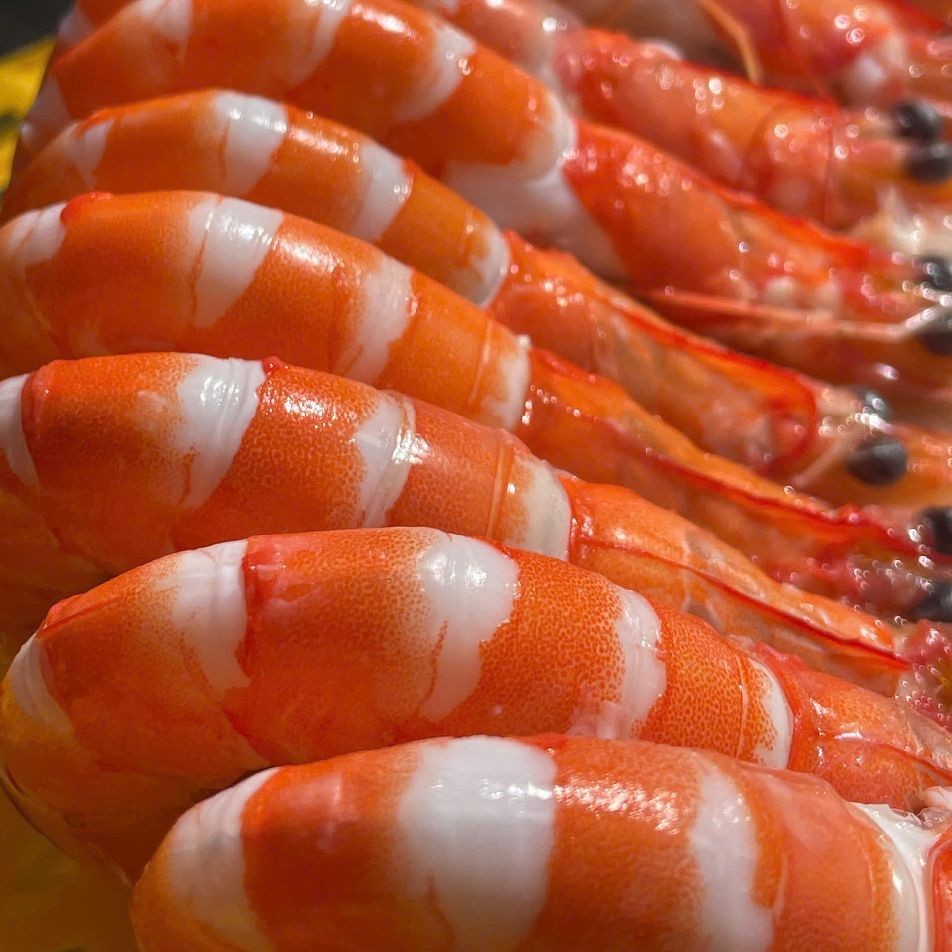 z7610512588336_393b6d3d2a06090cb008c01d44afa62c