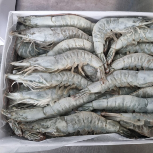 tom-the-oxy-cap-dong-hop/