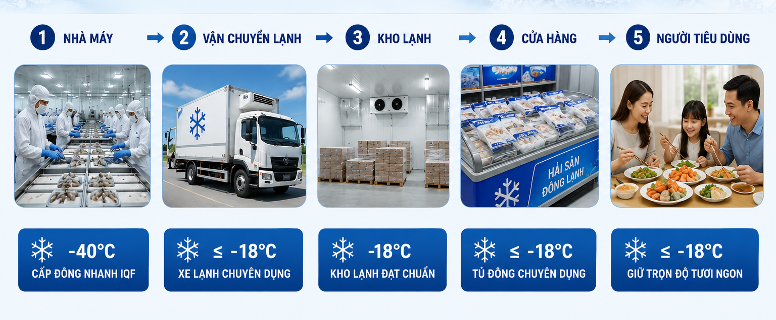 Infographic chuỗi lạnh bảo quản tôm cấp đông đảm bảo VSATTP từ nhà máy đến người tiêu dùng