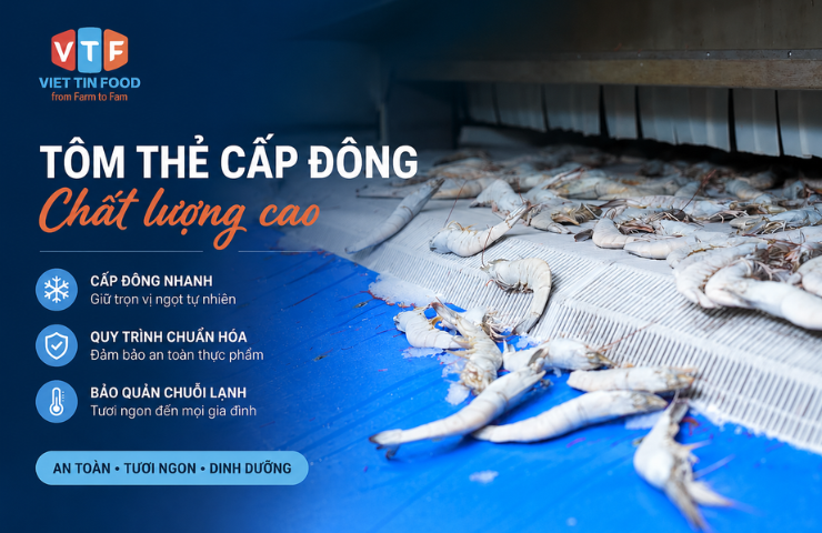 Tôm thẻ cấp đông chất lượng cao tại Viet Tin Food
